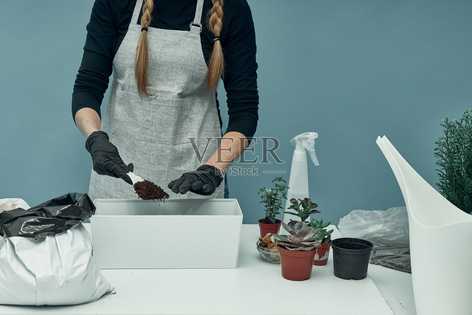 女孩在土壤和花盆里种植室内植物和花卉。植物护理和维护。的爱好。照片摄影图片