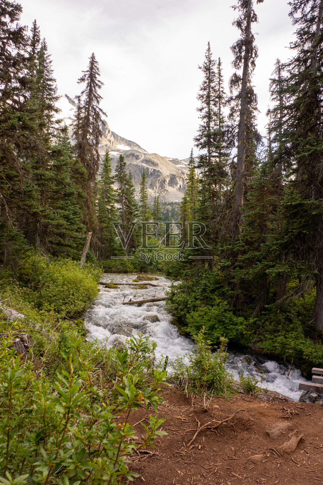 Joffre Lake迷人的风景照片摄影图片