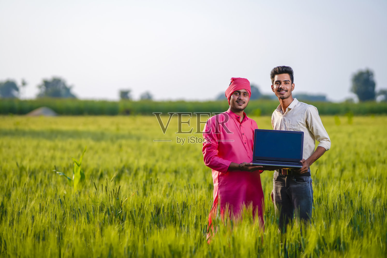 年轻的印度农学家或银行家在绿色的麦田里展示笔记本电脑屏幕照片摄影图片