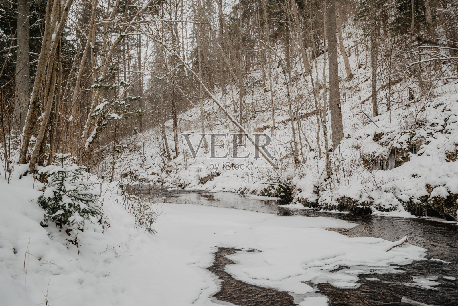 森林里的野生河流在冬天有岩石和水流，沙崖上有冰和冰柱照片摄影图片