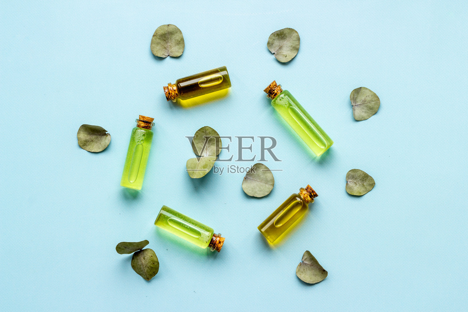 草本精油和桉树叶，俯视图照片摄影图片