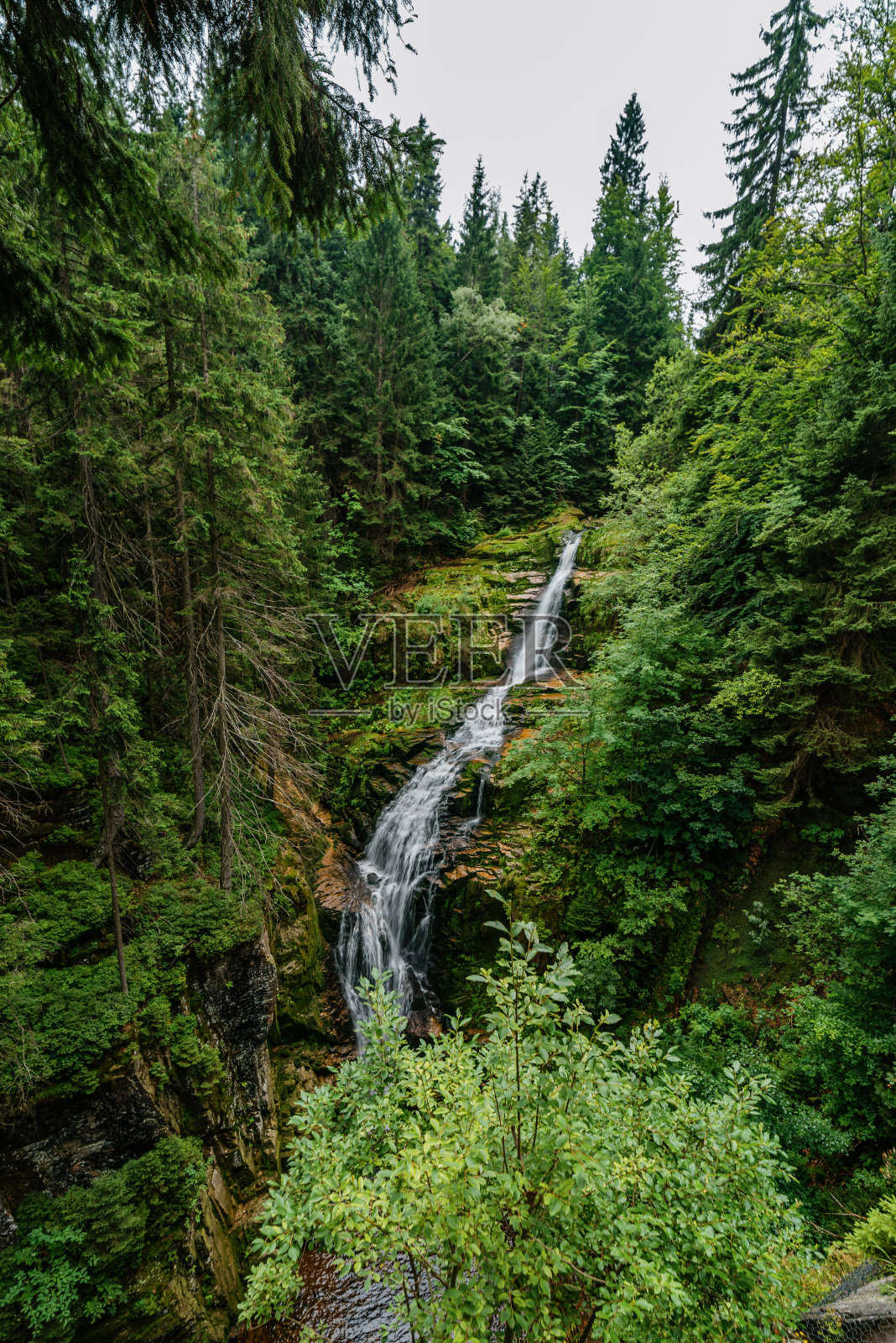 Karkonosze国家公园的森林照片摄影图片