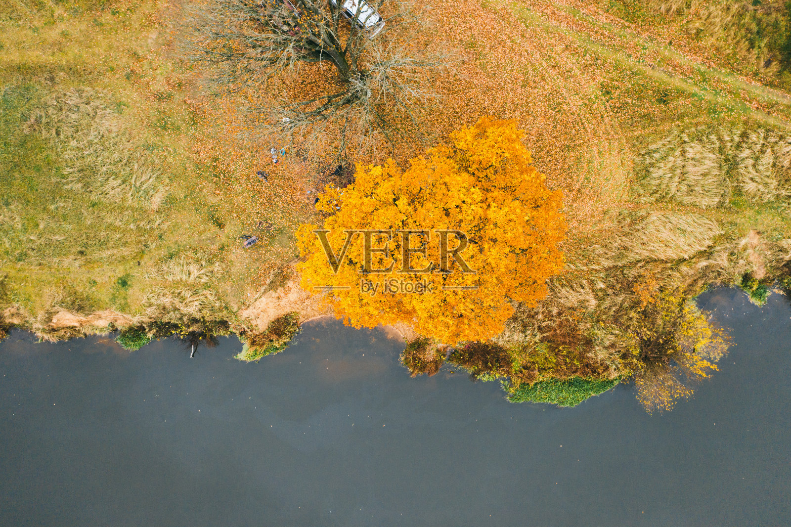 白俄罗斯河边的秋景照片摄影图片