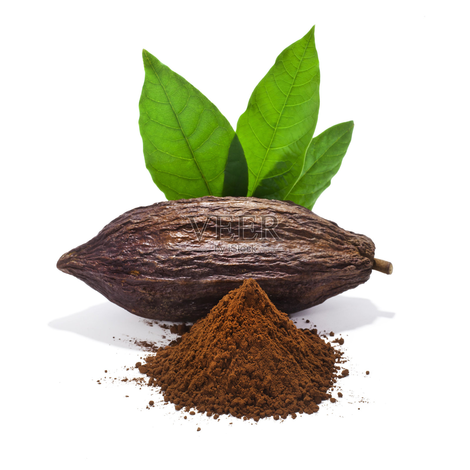 可可豆荚与可可粉和树叶照片摄影图片