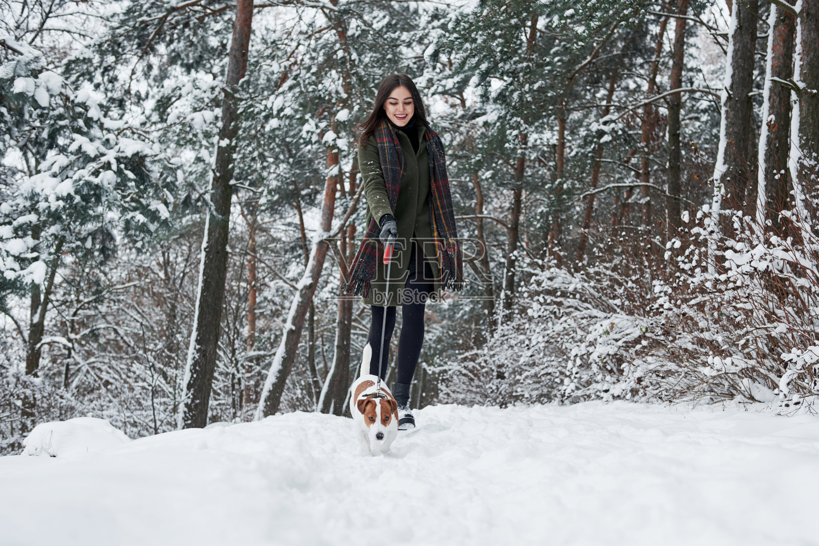 一只宠物故意把女孩拉到前面。一个穿着暖和衣服的女人在白雪覆盖的森林里遛狗照片摄影图片