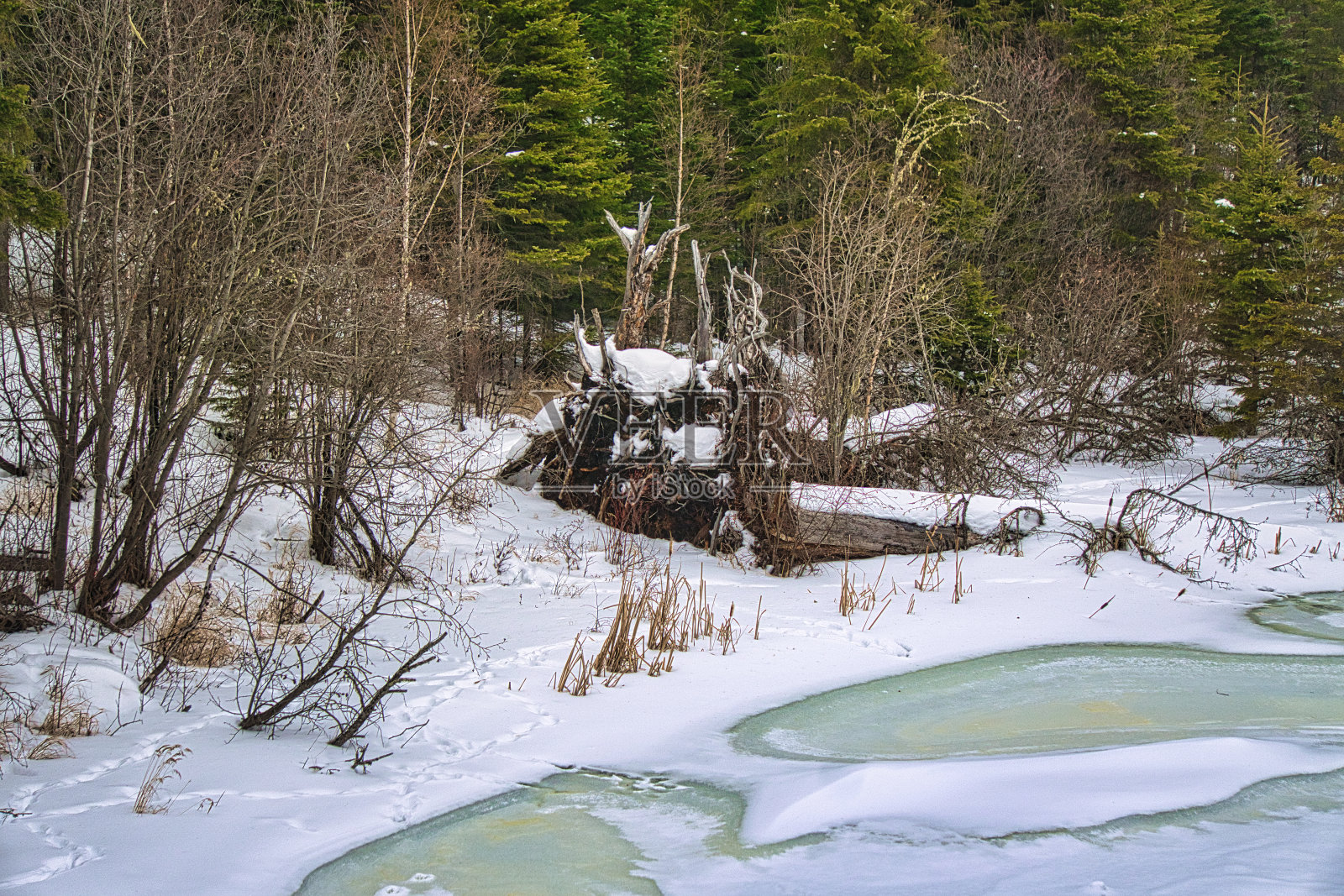 加拿大北部冬季景观照片摄影图片