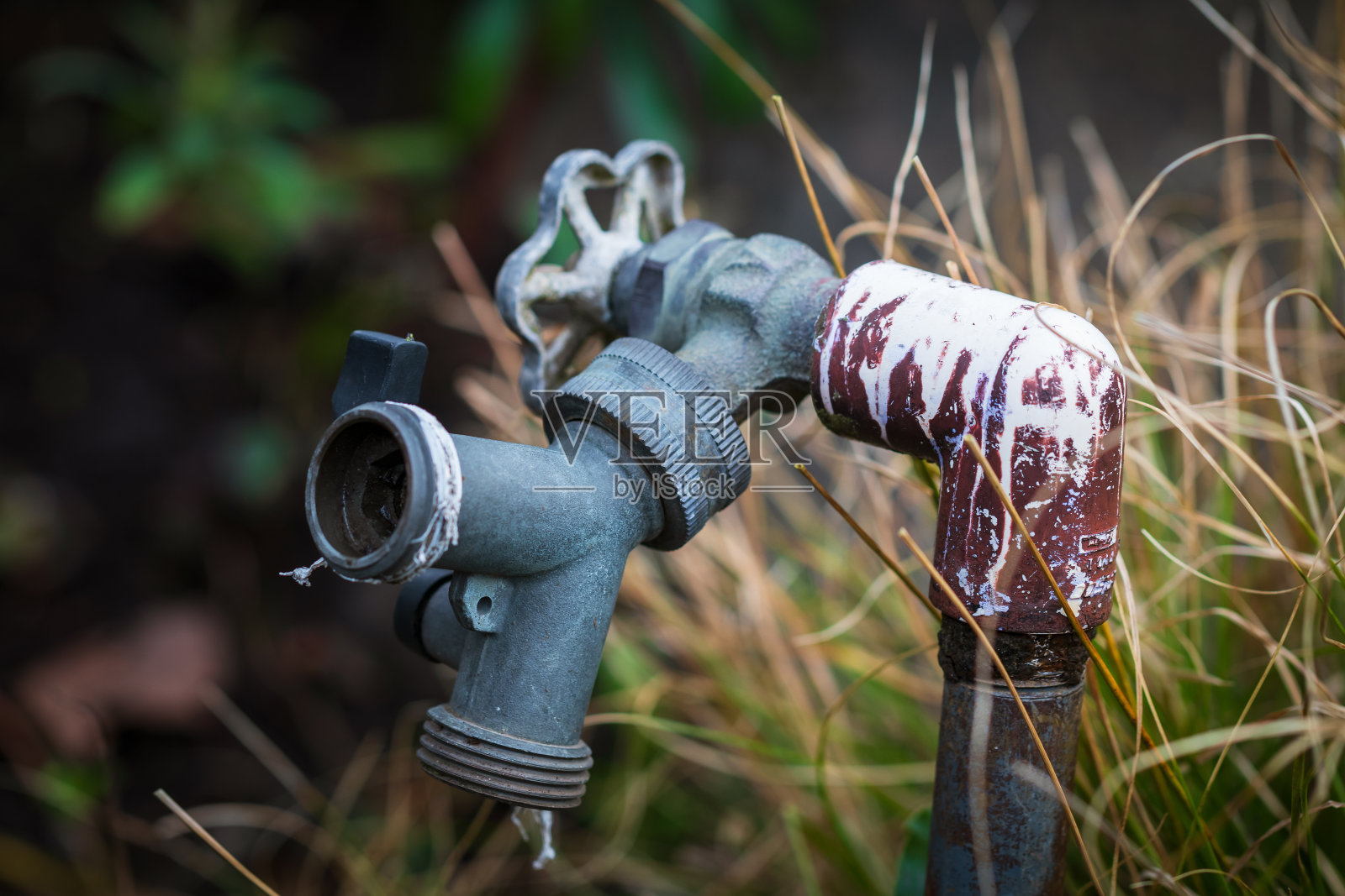 院子里的水龙头照片摄影图片