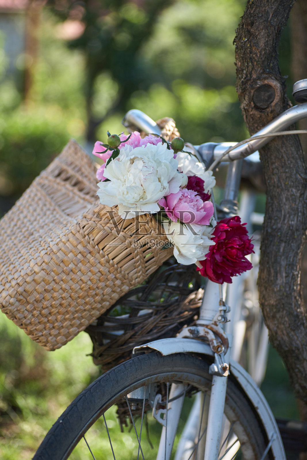 花放在自行车篮里。花园装饰。照片摄影图片
