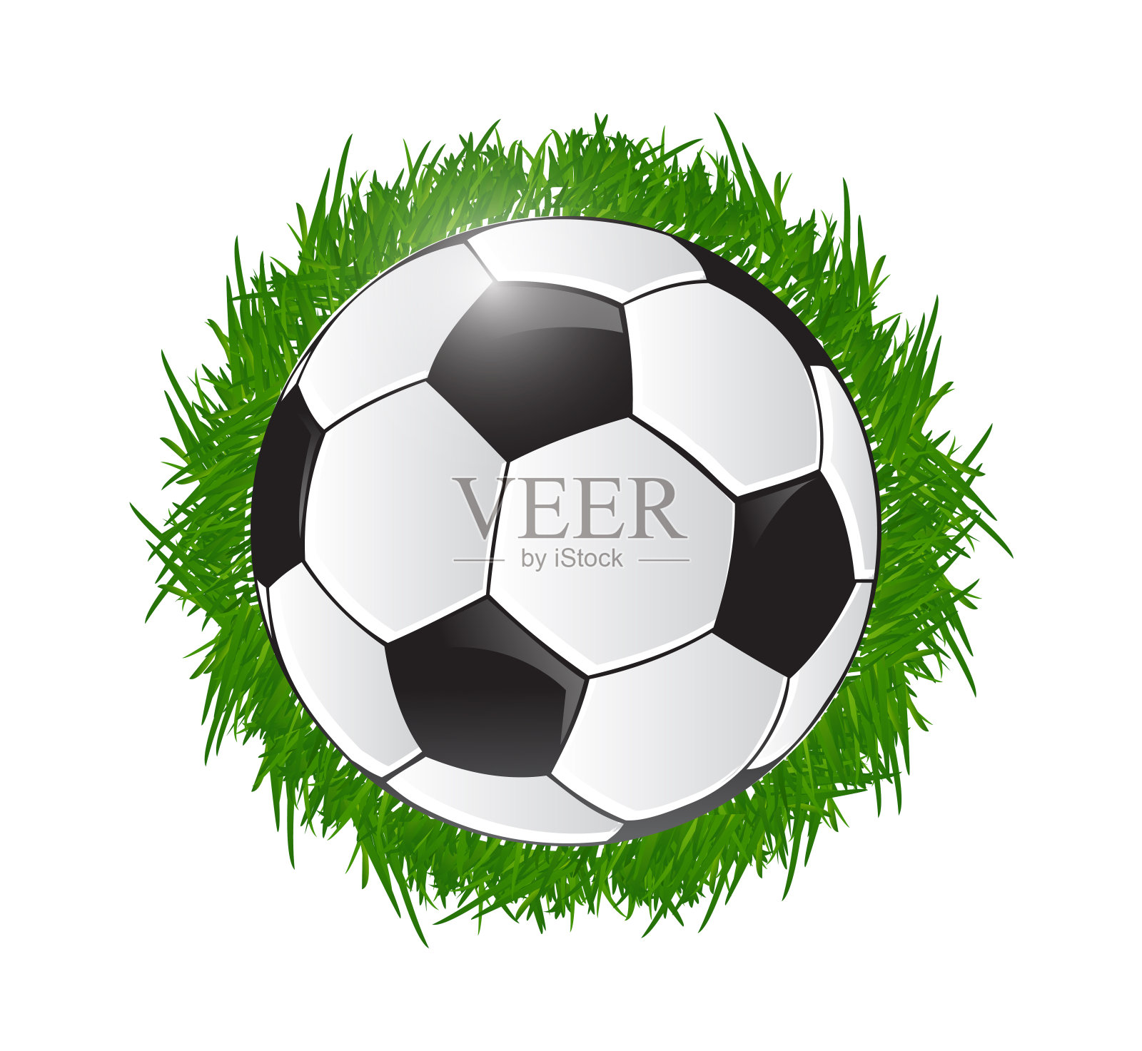 足球和草地插画设计插画图片素材