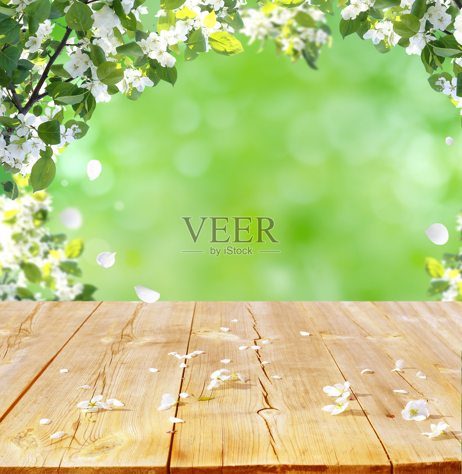 春天的背景与木桌照片摄影图片