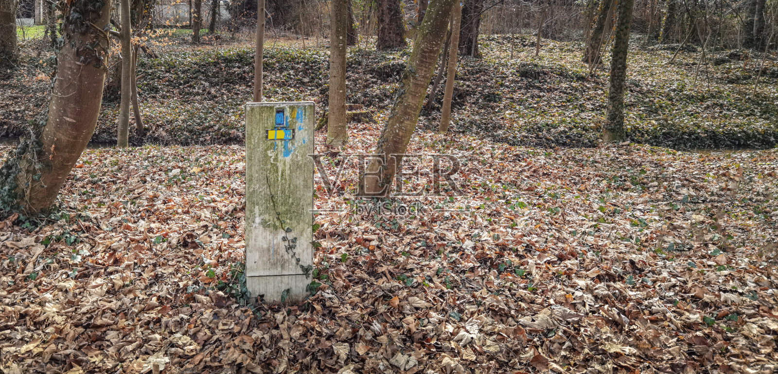 风化、喷塑的自然界电源箱照片摄影图片