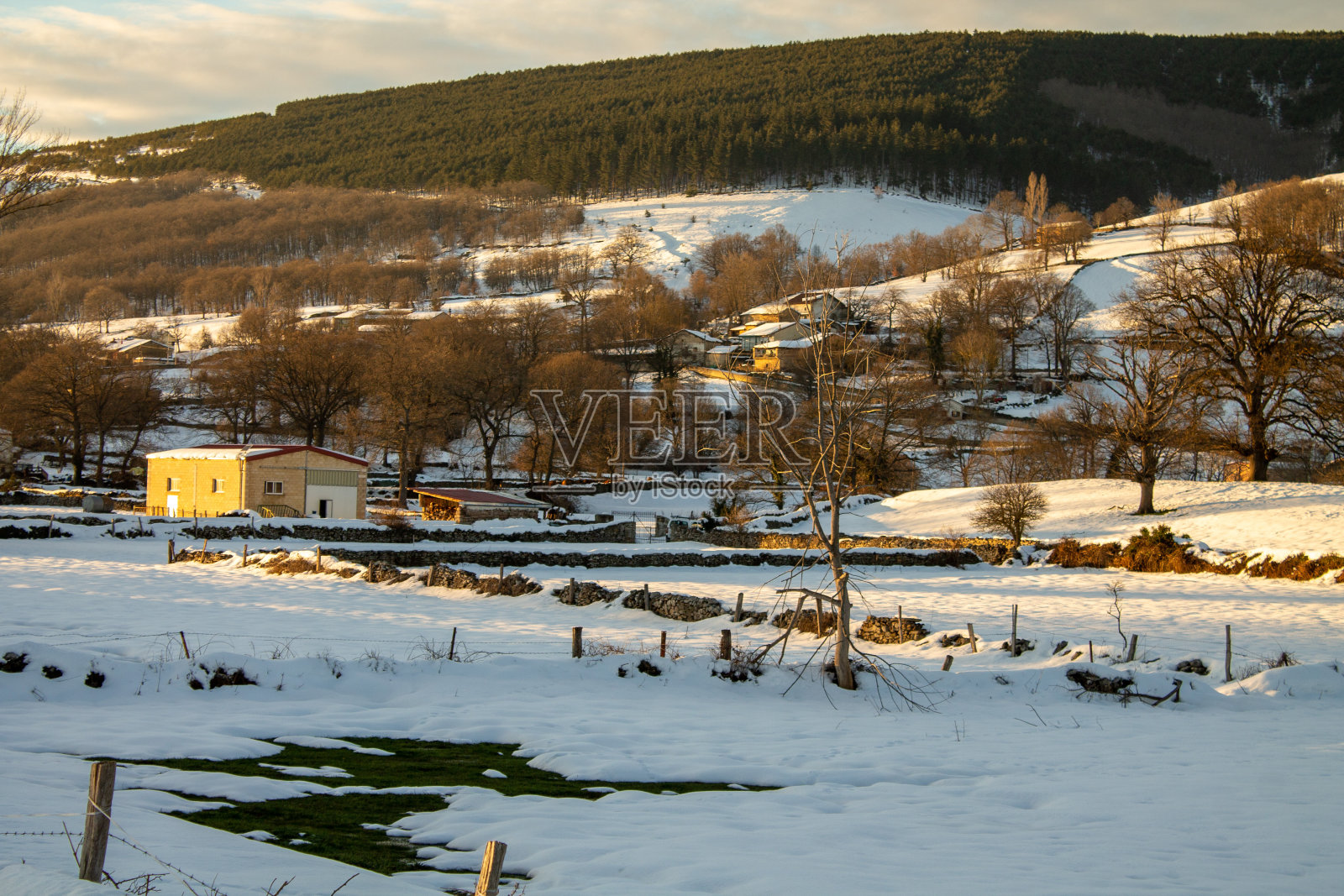 1月17日，西班牙埃斯皮诺萨下雪照片摄影图片