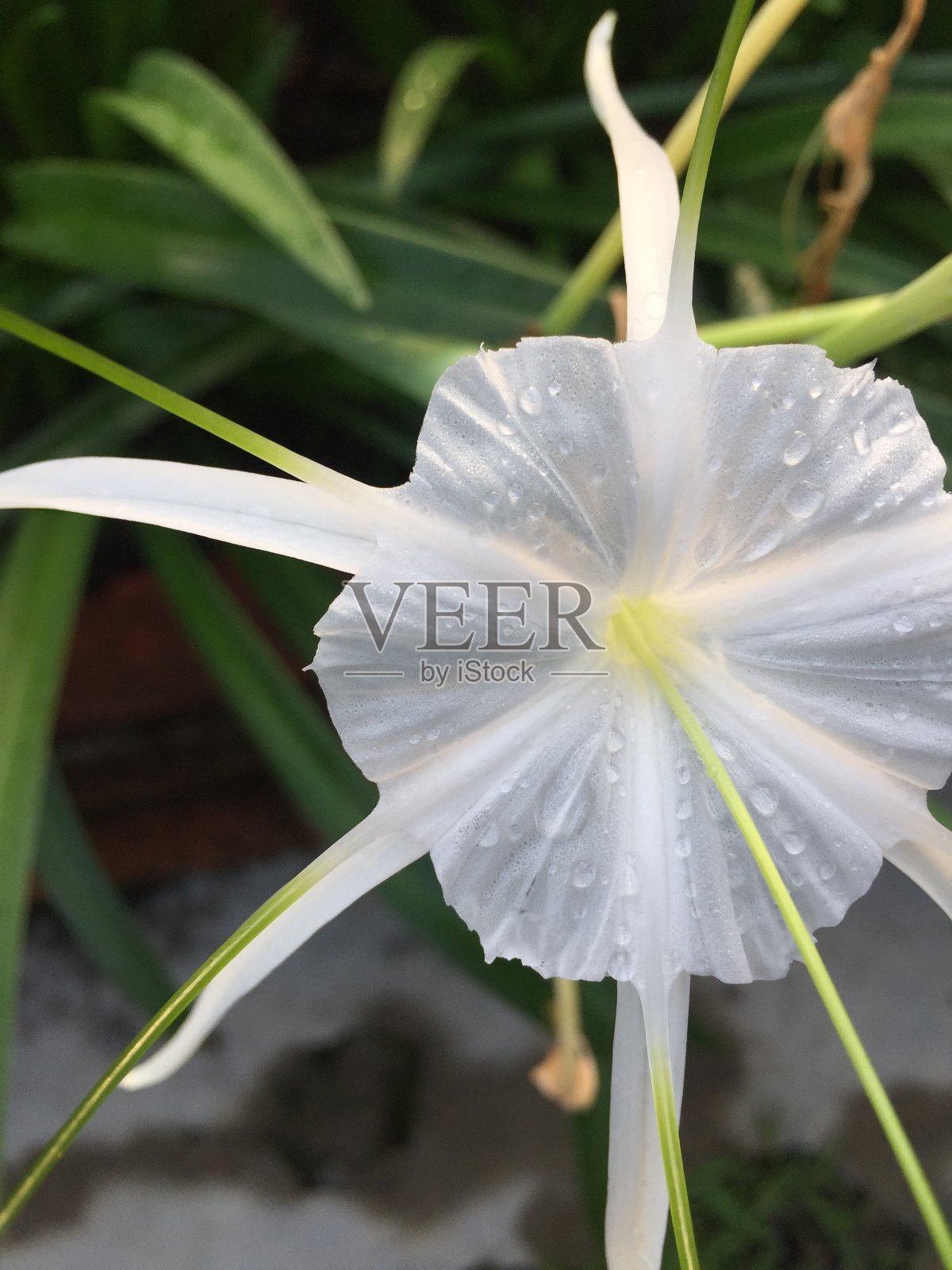 新鲜的空气照片摄影图片