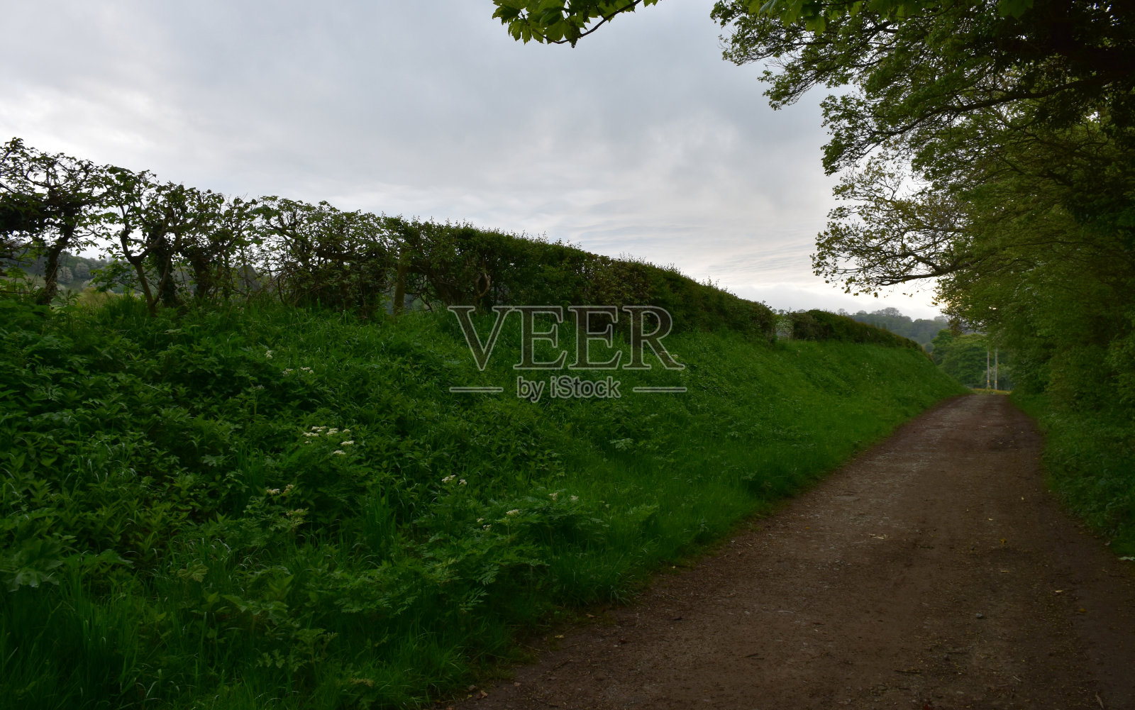 英国令人惊叹的风景沿着海岸到海岸步行照片摄影图片