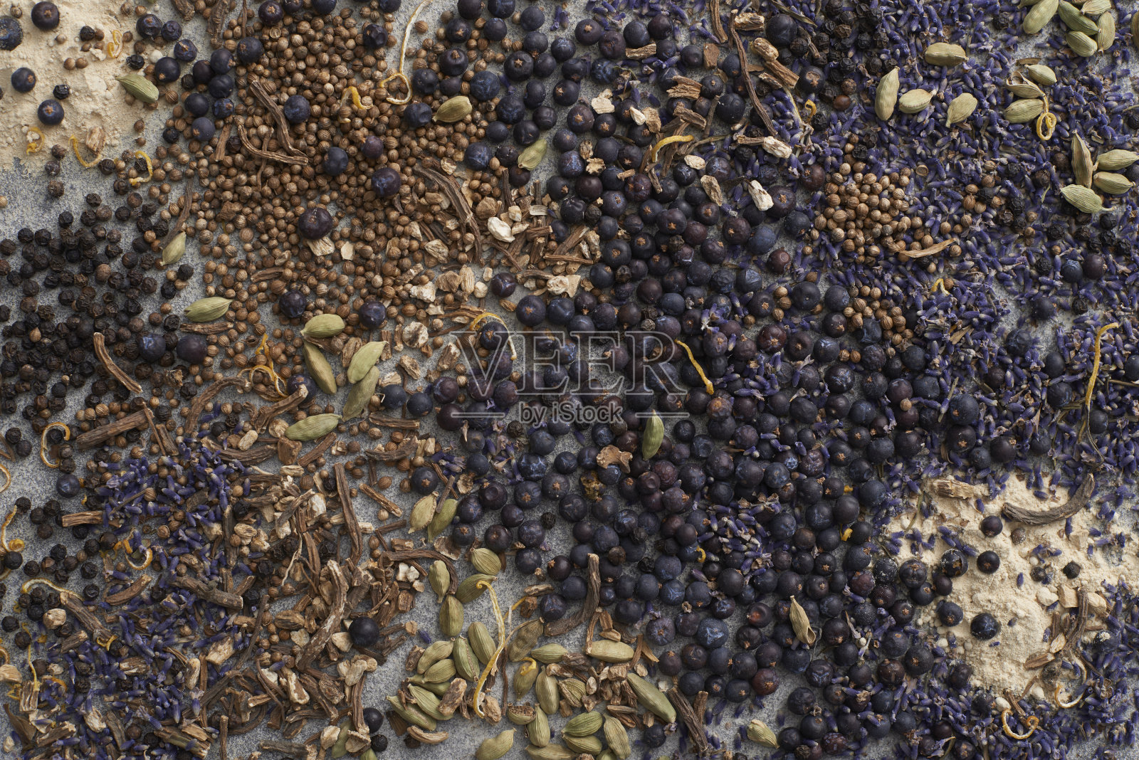 杜松子酒植物照片摄影图片