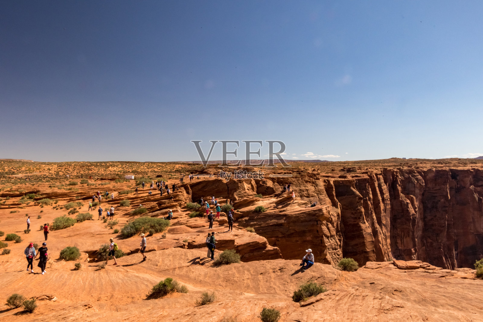 马肖本德照片摄影图片