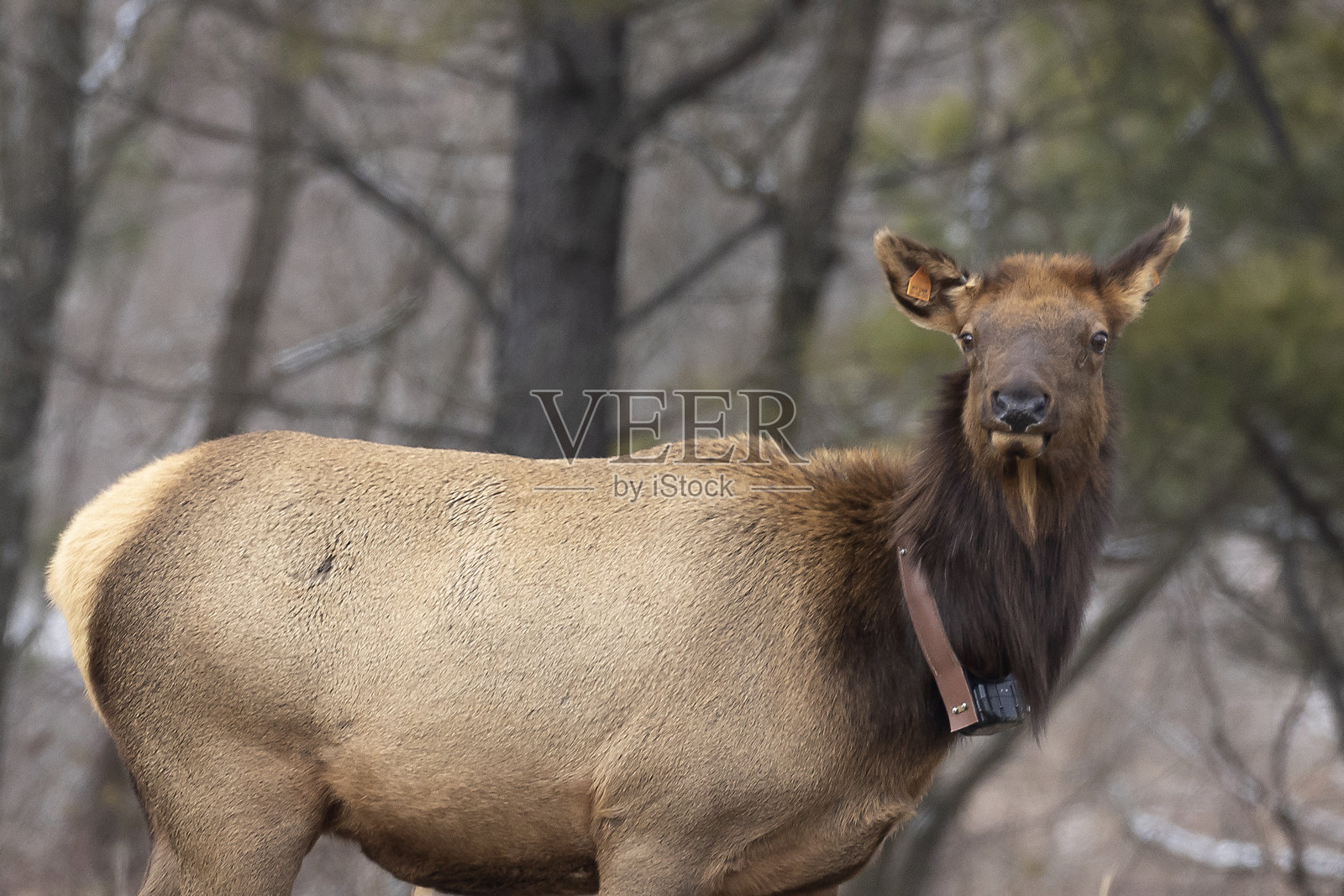 每一个照片摄影图片