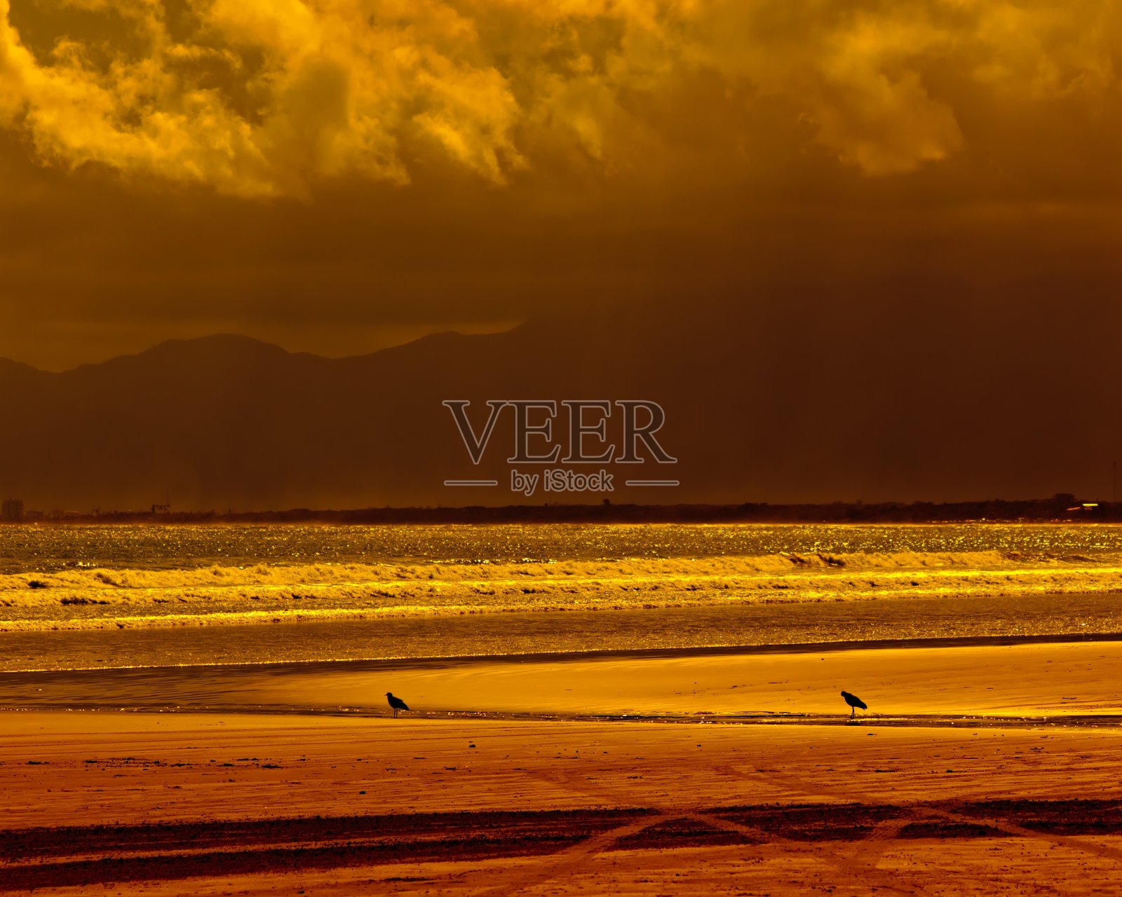 海滩的景象与波光粼粼的海洋和黑色的沙子染成金色的光。照片摄影图片