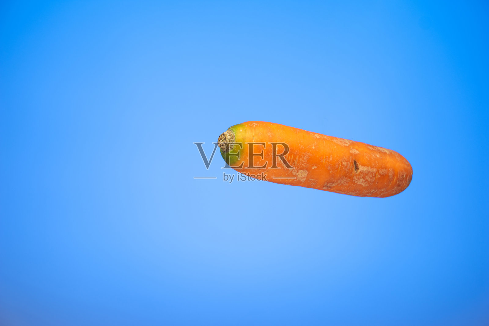 新鲜的完整的生胡萝卜孤立在蓝色背景照片摄影图片