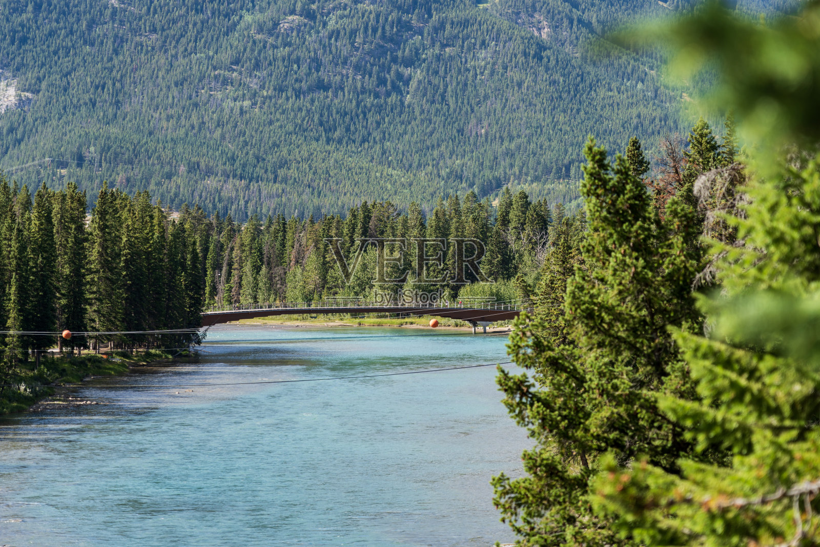 夏天阳光明媚的班夫人行天桥和弓河步道。班夫国家公园，加拿大落基山脉照片摄影图片
