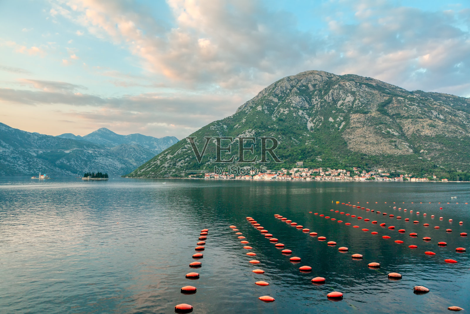 软体动物的贝类养殖照片摄影图片