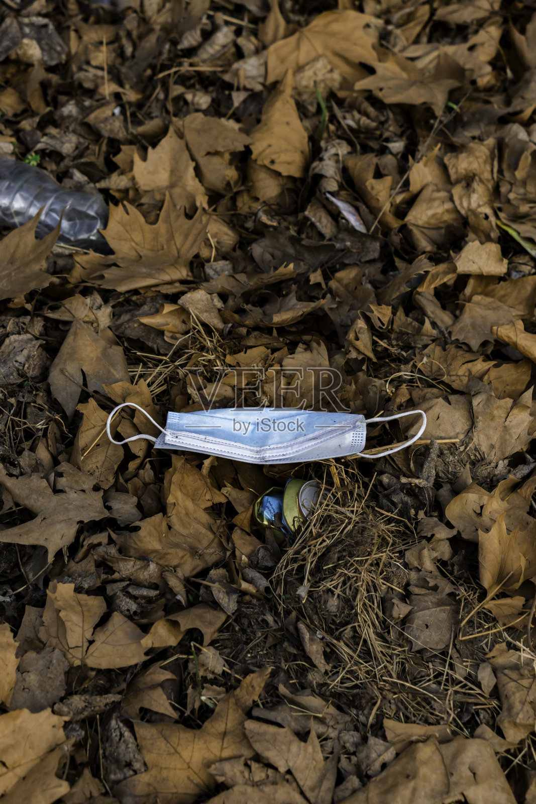 橙色叶子的面罩照片摄影图片