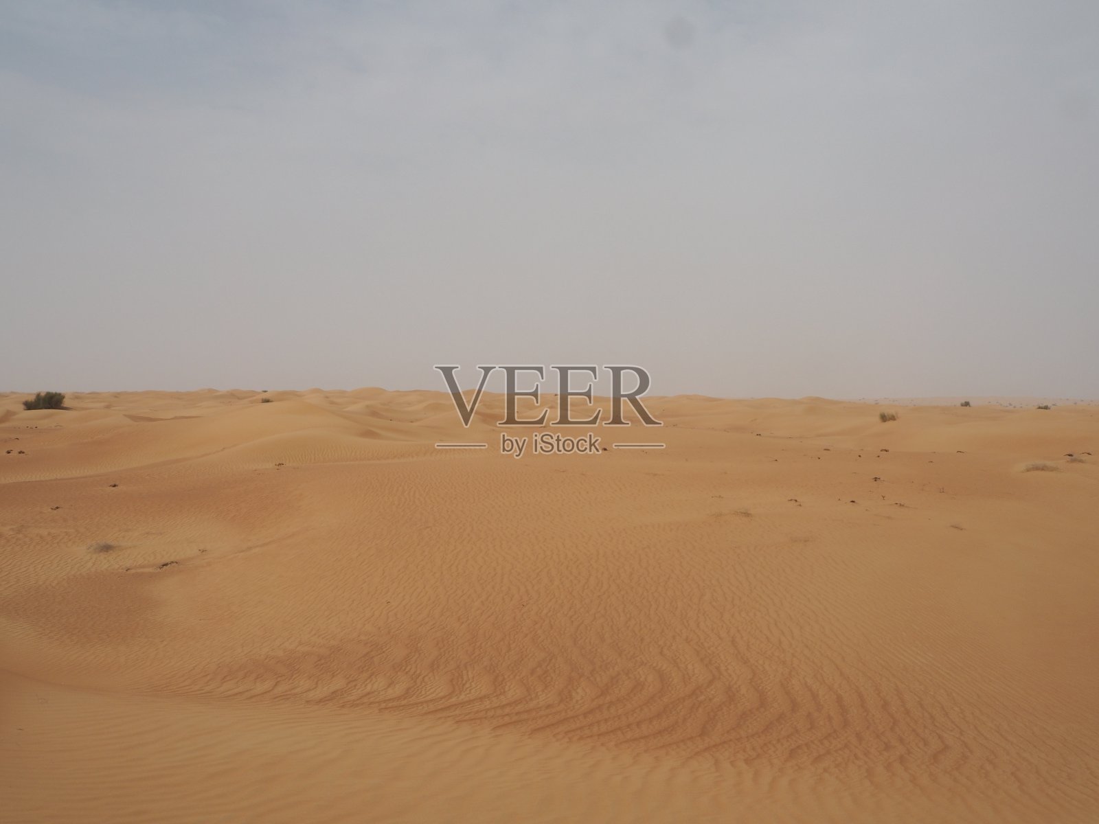 迪拜沙漠景观照片摄影图片