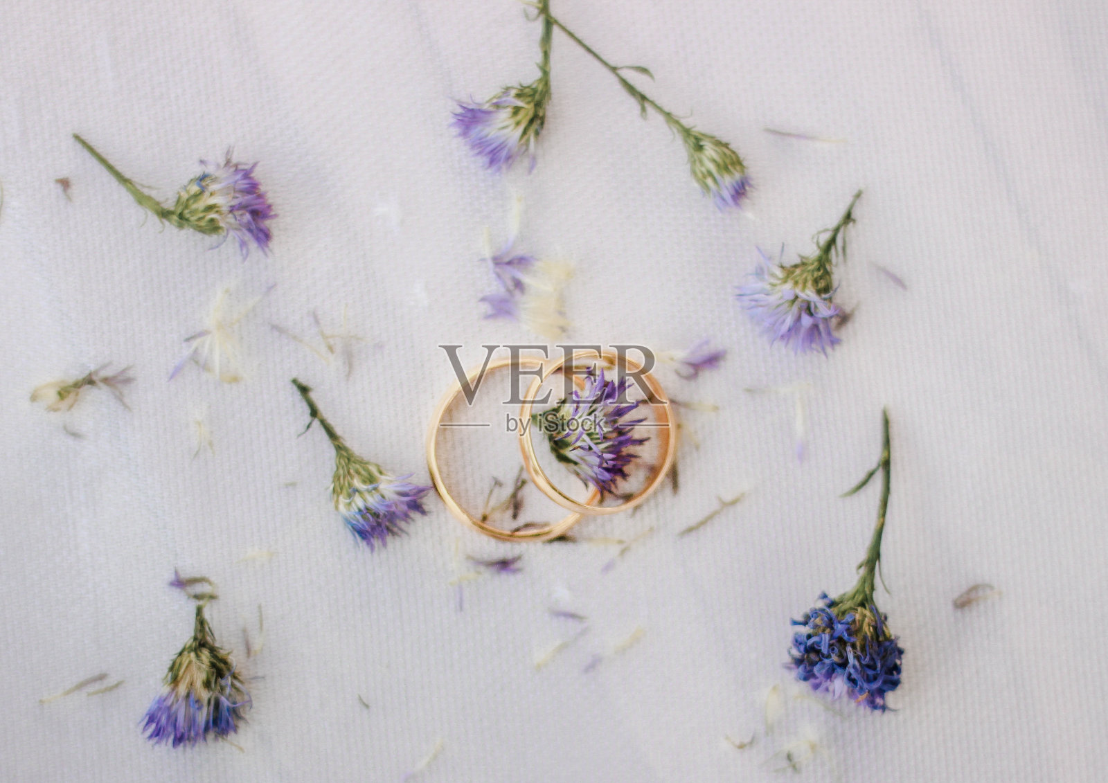 出版照片摄影图片