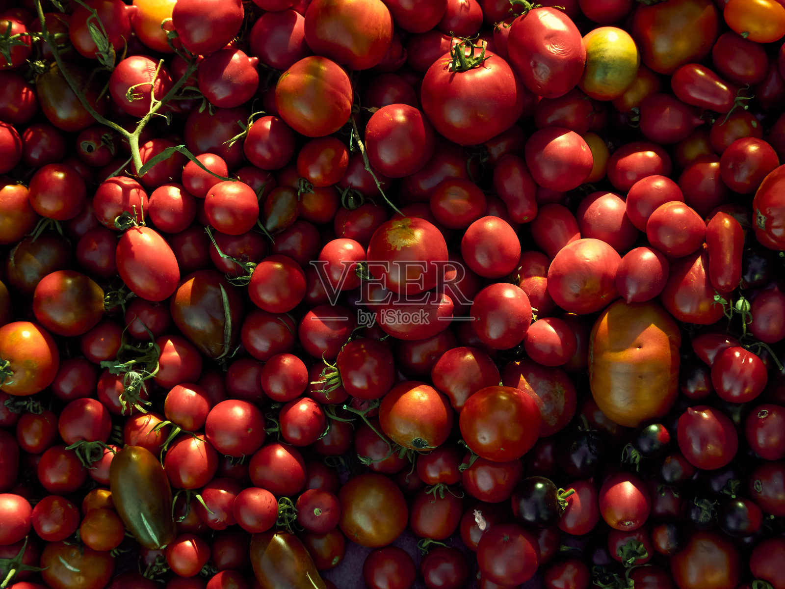 不同的多汁的西红柿。照片摄影图片