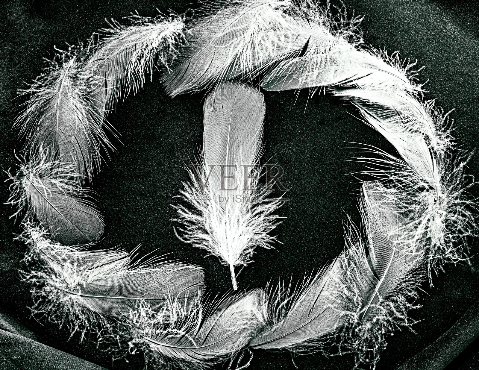 Topview概念的羽毛上的天鹅绒。舒适的单色组合照片摄影图片