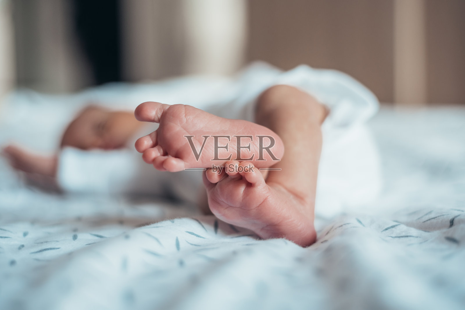 小和可爱照片摄影图片