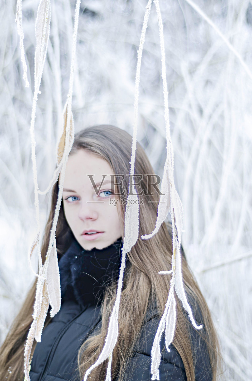 一幅神秘的冬日女子画像照片摄影图片