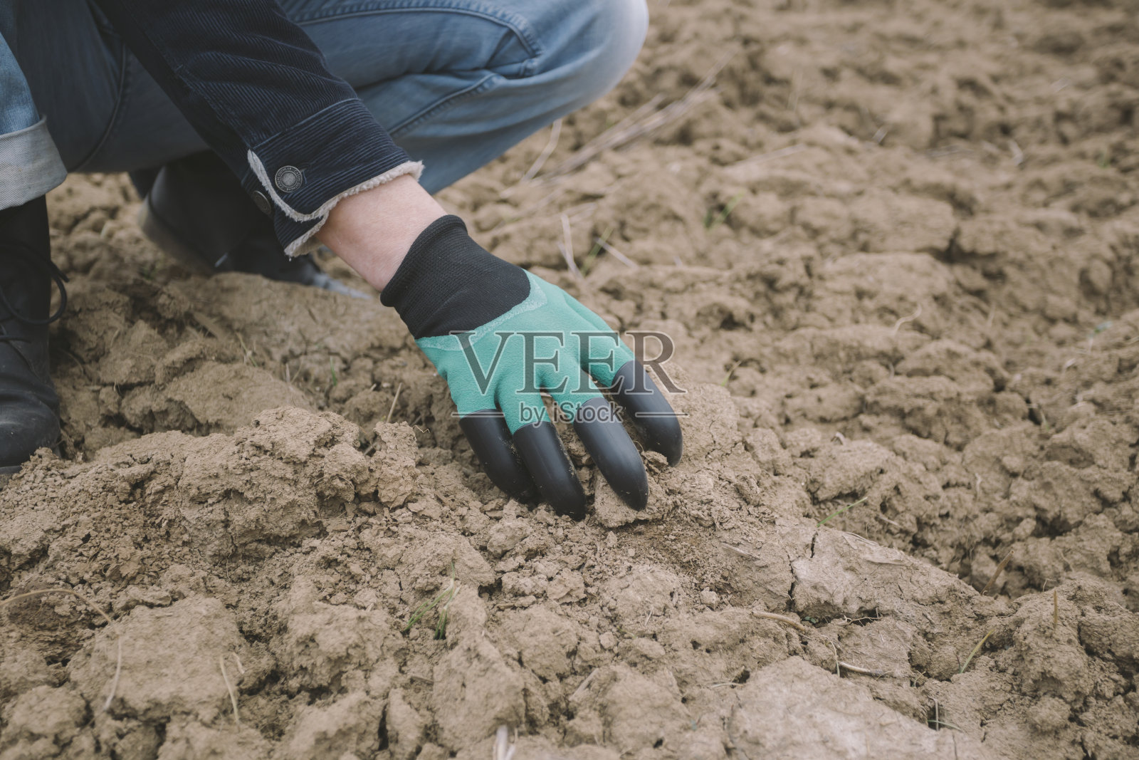 戴园艺手套检查土壤照片摄影图片