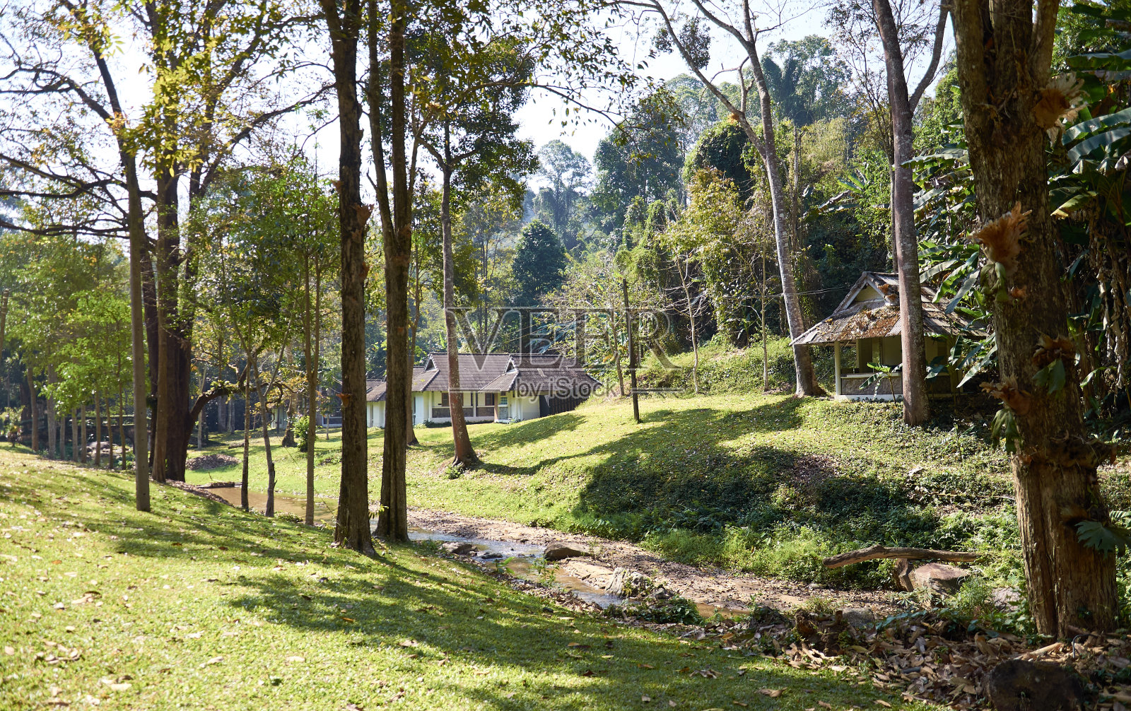 泰国北部的热带景观。照片摄影图片