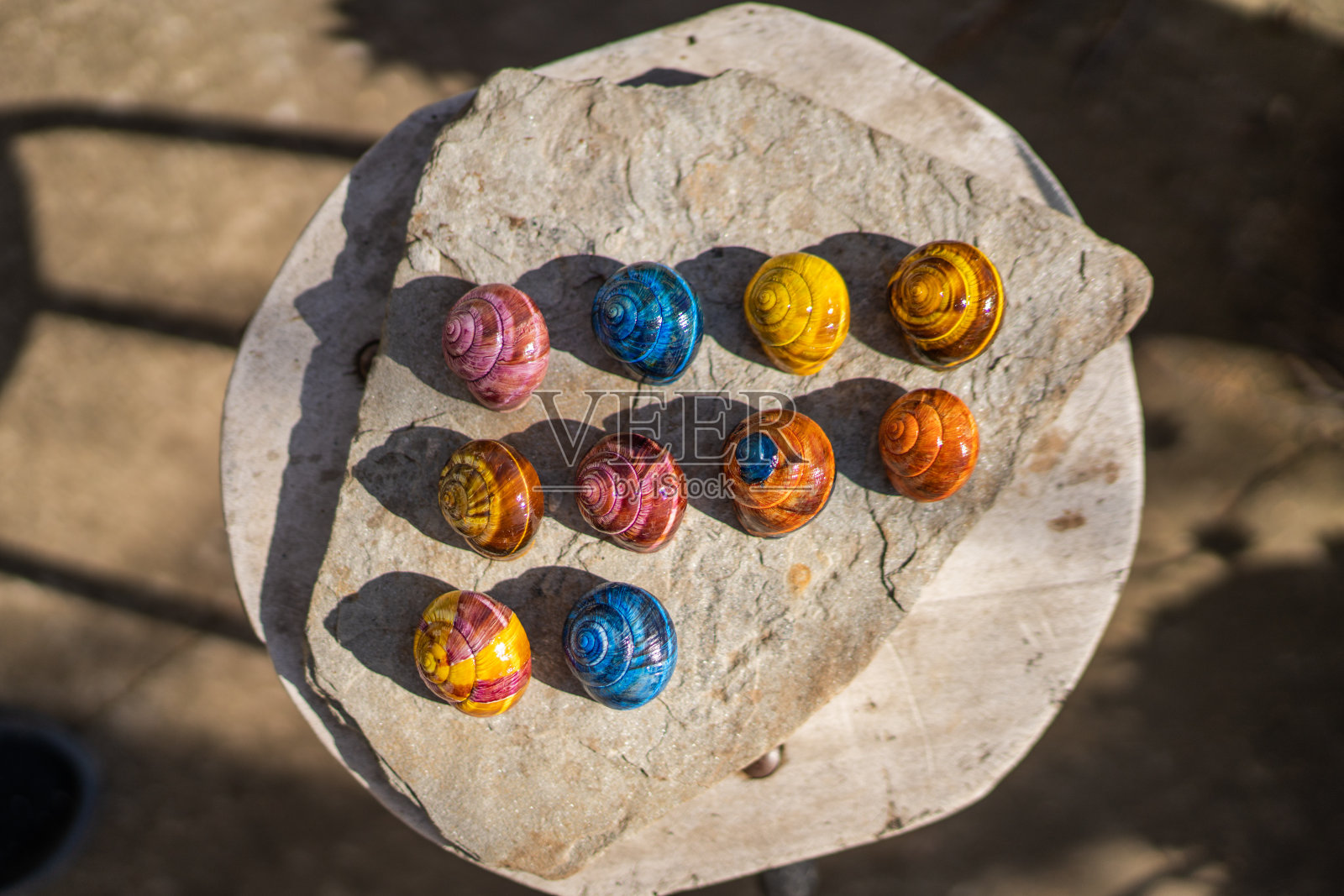 五彩缤纷的画蜗牛照片摄影图片