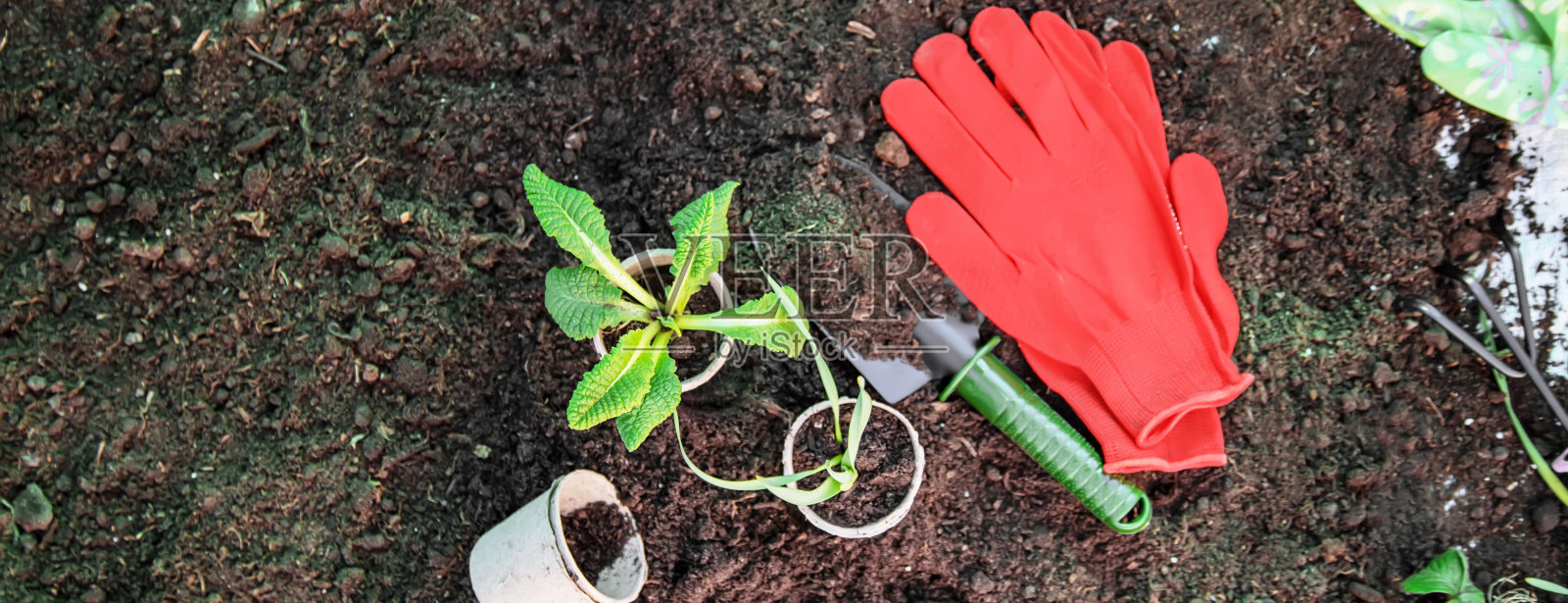 土地和园艺用品。花园。有选择性的重点照片摄影图片