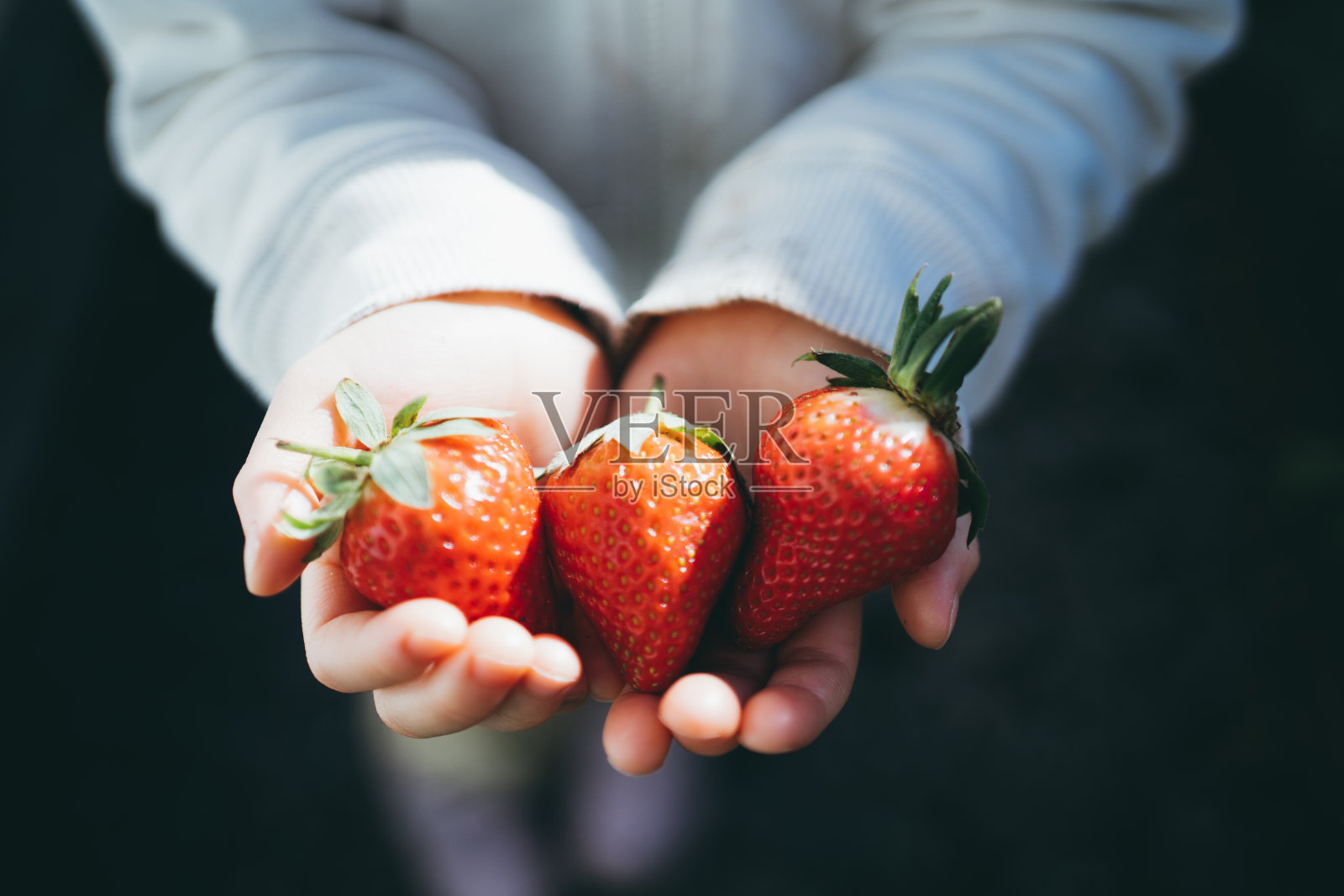一个亚洲小女孩，手里拿着一把草莓照片摄影图片