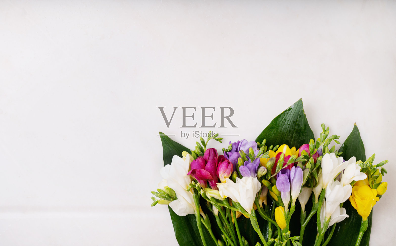 五颜六色的野花孤立在白色的背景上。复活节快乐的概念。副本的空间。俯视图照片摄影图片