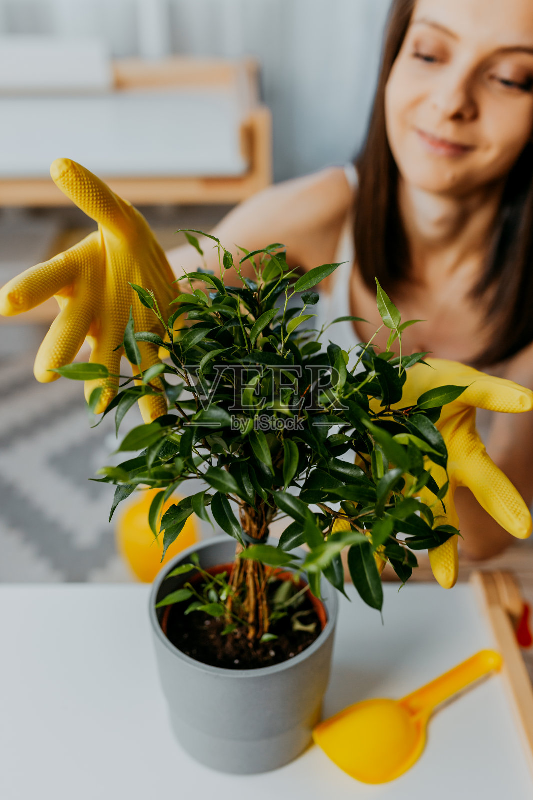戴黄手套的女人在照料植物。年轻女性在家移植植物。春季家庭职责。照片摄影图片