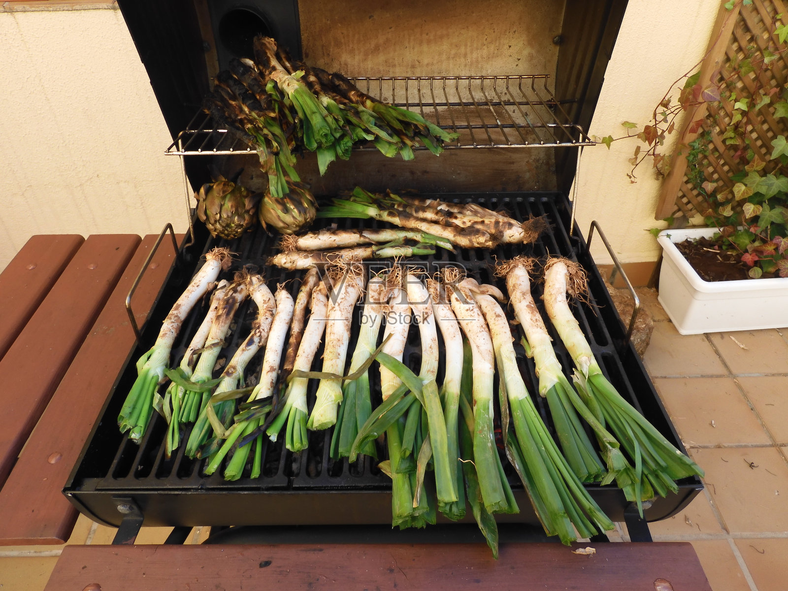 Calçots(加泰罗尼亚甜洋葱)在烧烤照片摄影图片