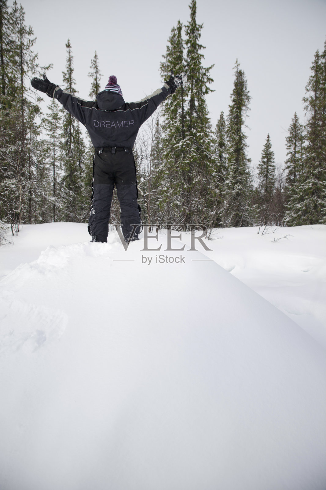 女孩从后面的雪工作服与书面文字梦想家雪林前照片摄影图片