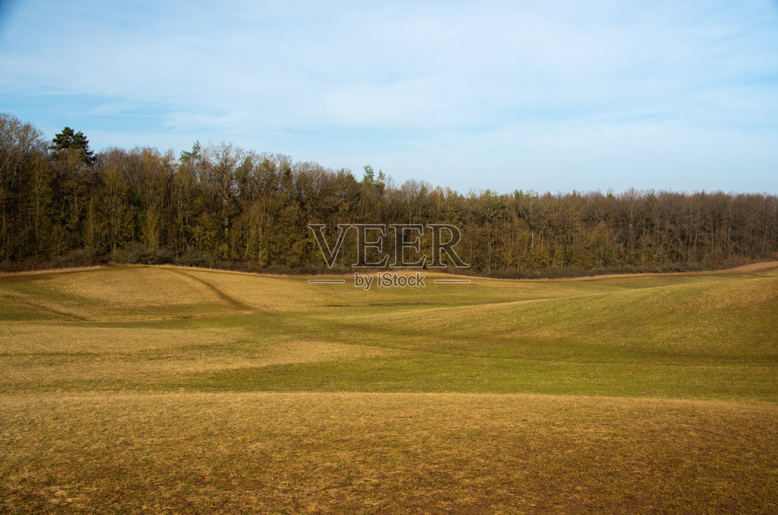 草地和秋色的森林在蓝天前的背景照片摄影图片