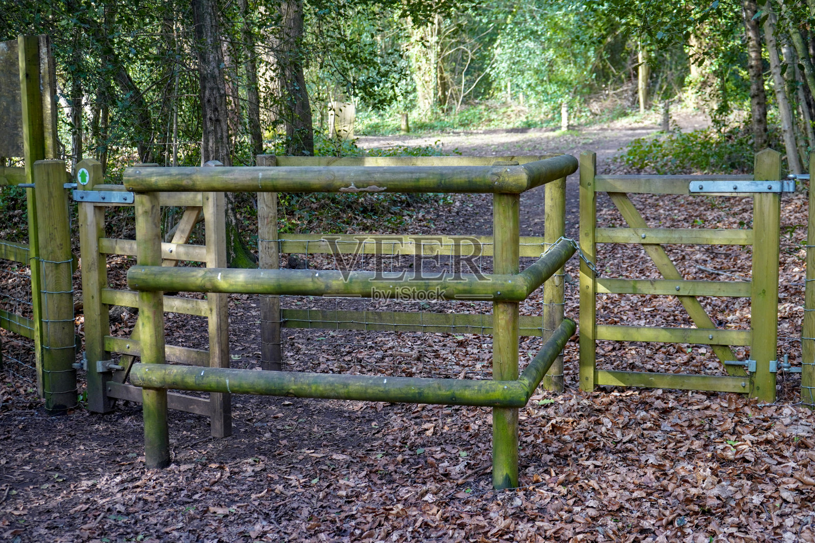 森林中的木门照片摄影图片