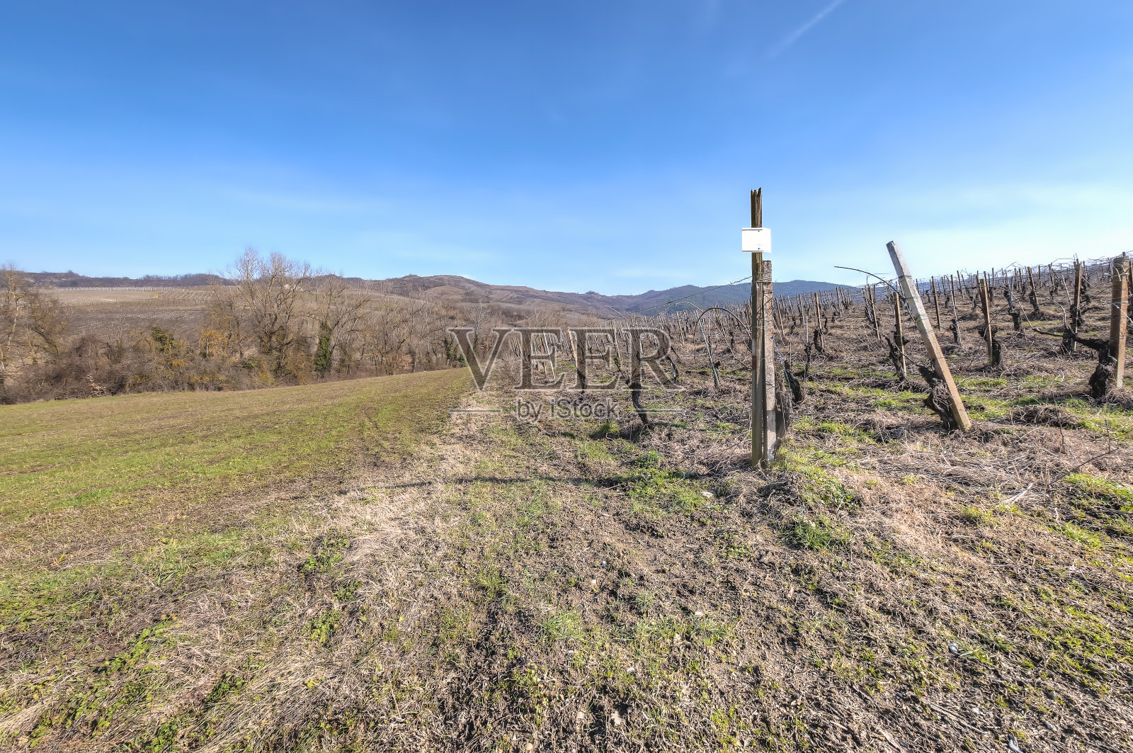 Oltrepo Pavese冬季活植场。彩色图像照片摄影图片