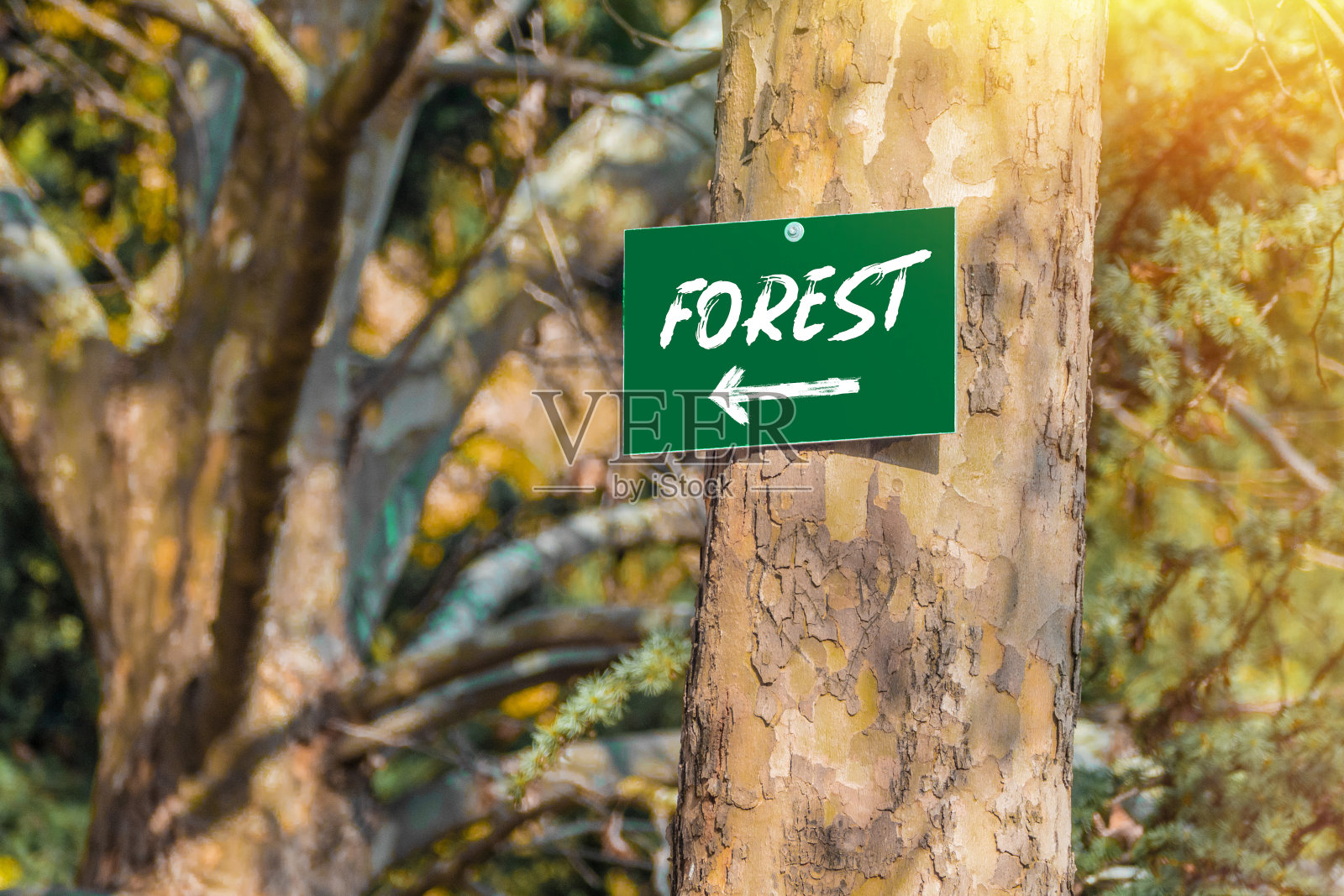 土耳其首都安卡拉的Dikmen自然公园，俗称“Dikmen Vadisi”照片摄影图片