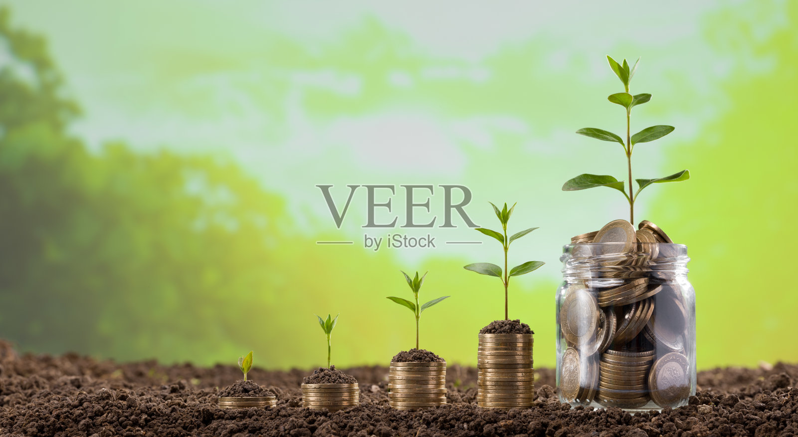 硬币上长出了幼苗照片摄影图片