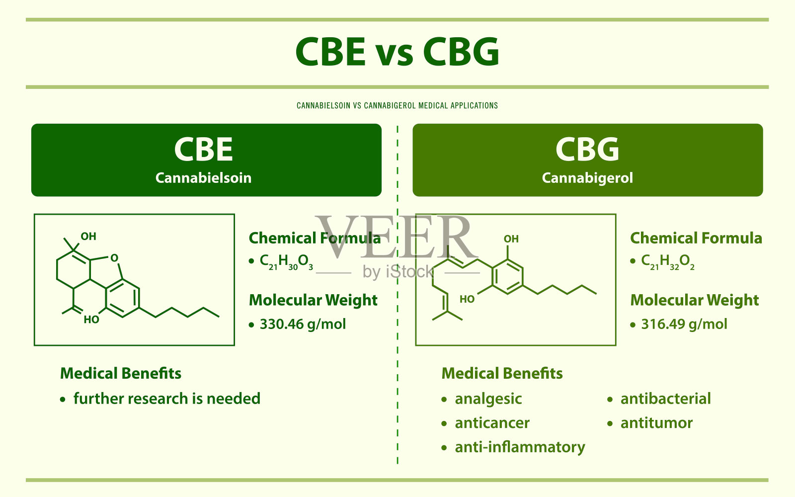 水平信息图插画图片素材