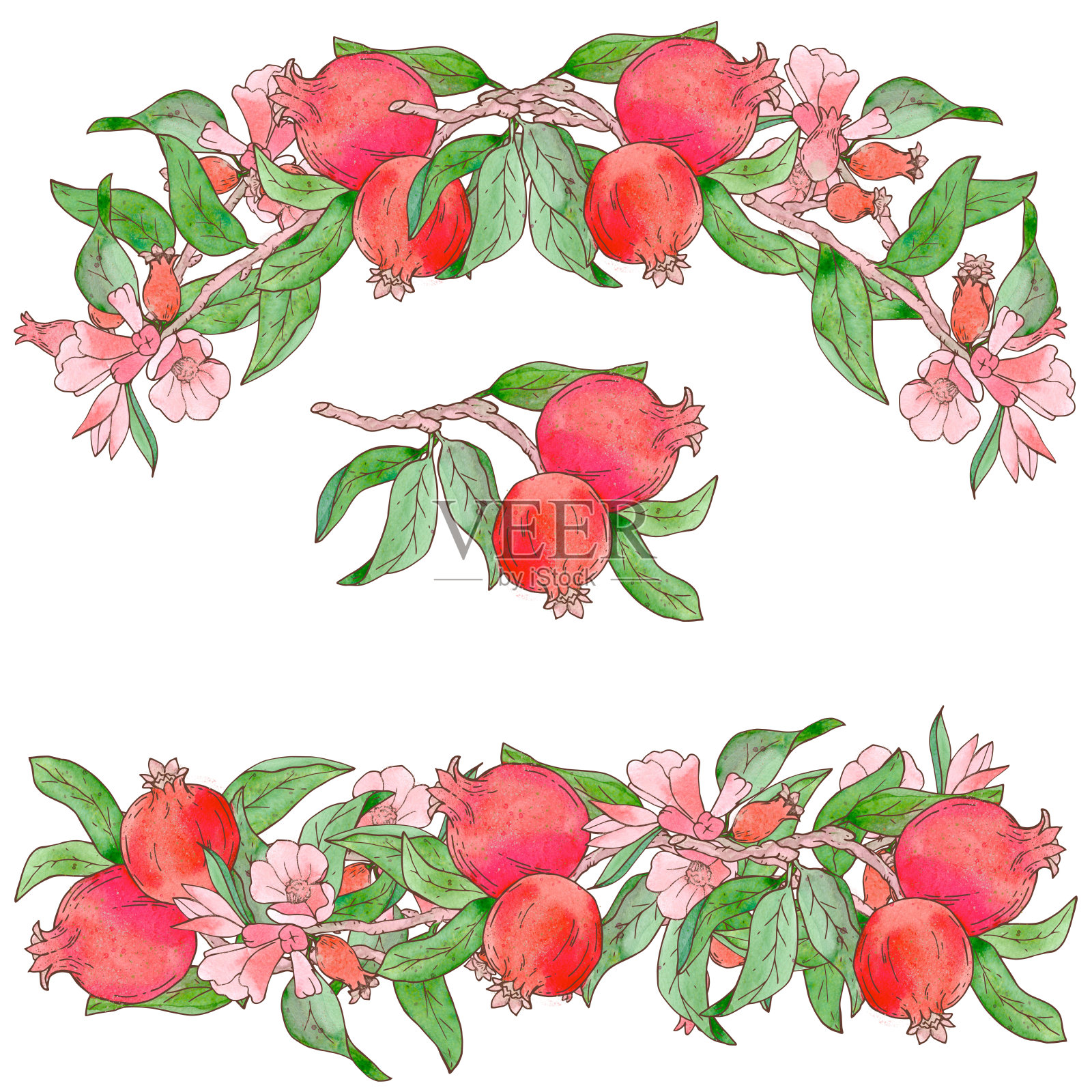 水彩纹理的石榴装饰，枝叶绽放，元素孤立插画图片素材