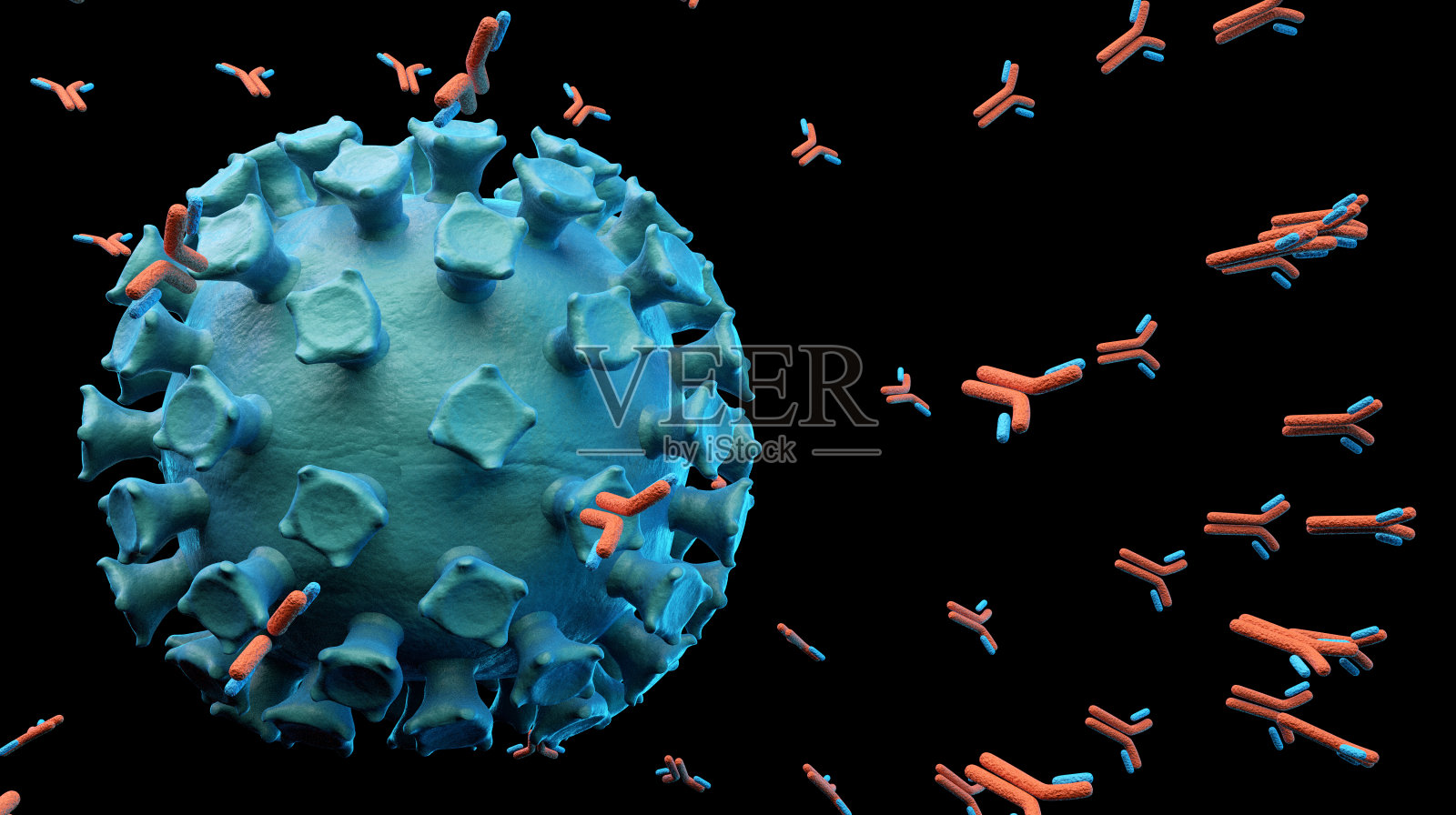 攻击新冠病毒的抗体照片摄影图片