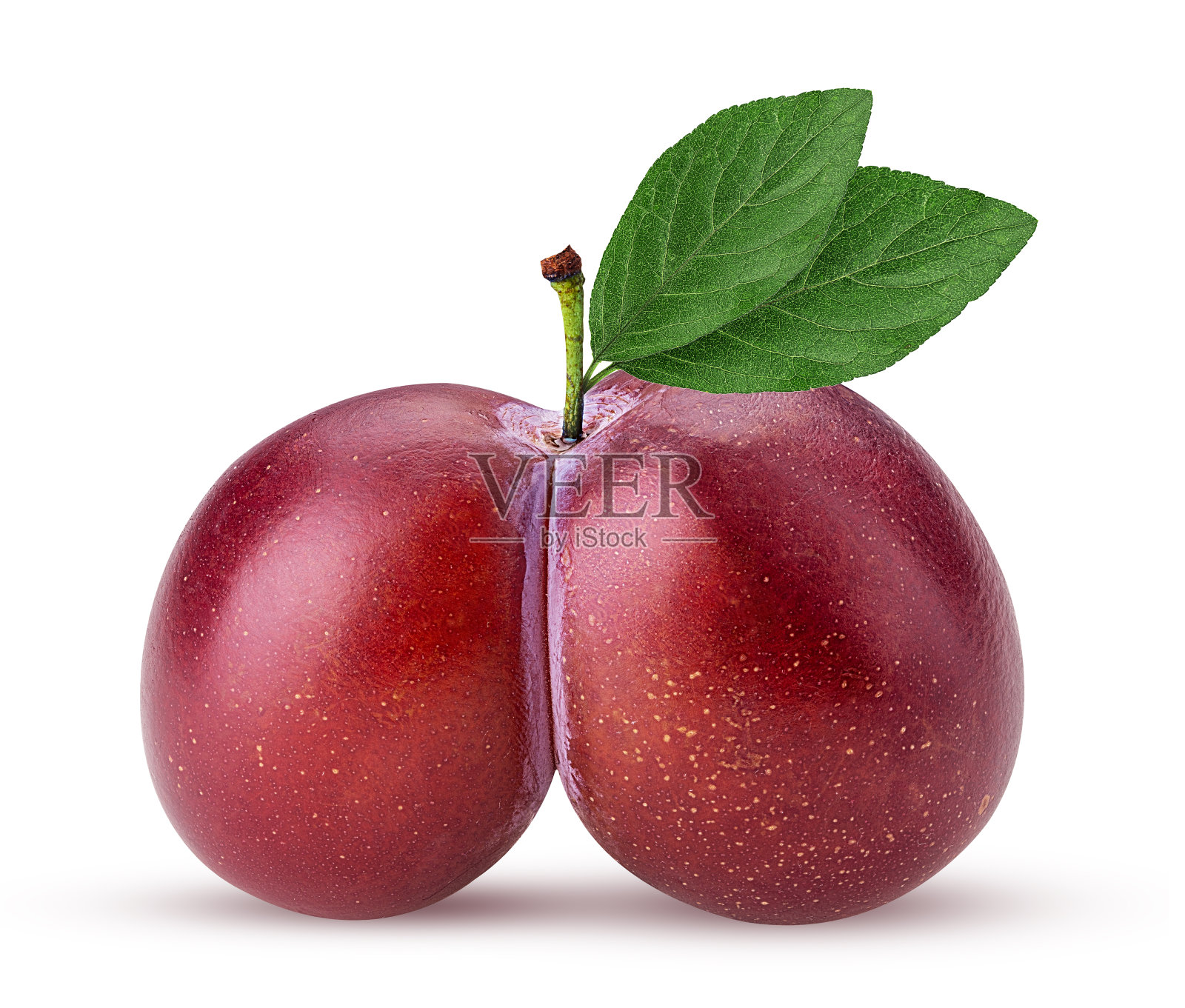 鲜李子绿叶照片摄影图片